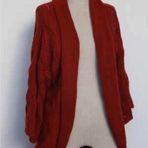 Absolutely Knit Deep Rust Cardigan